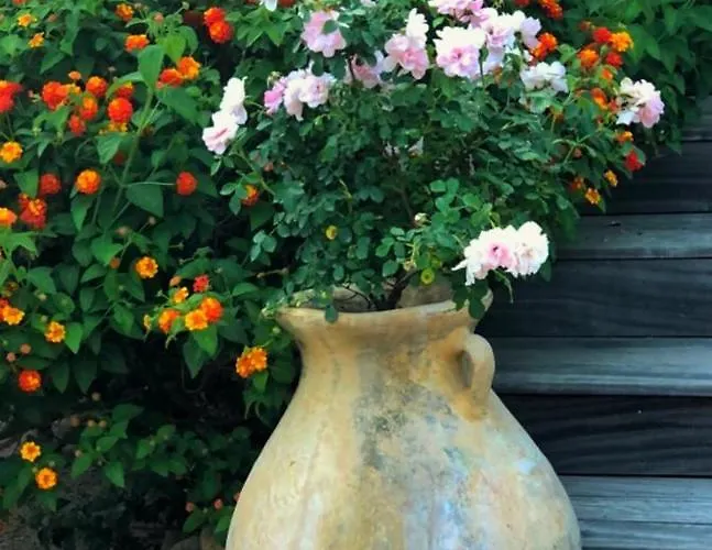 Mora Dell Onda Appartamento Porto Vecchio