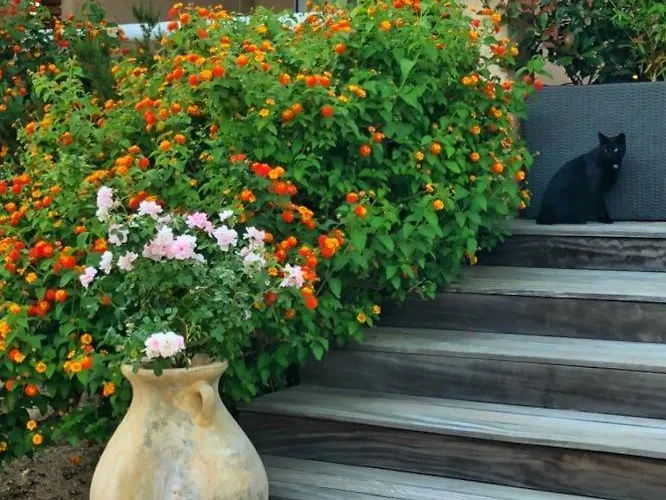 Appartamento Mora Dell Onda *